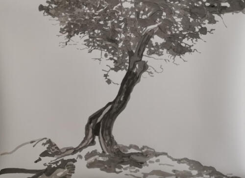 Gestein und Baum, Tusche auf Büttenpapier, 2021, 56x76 cm